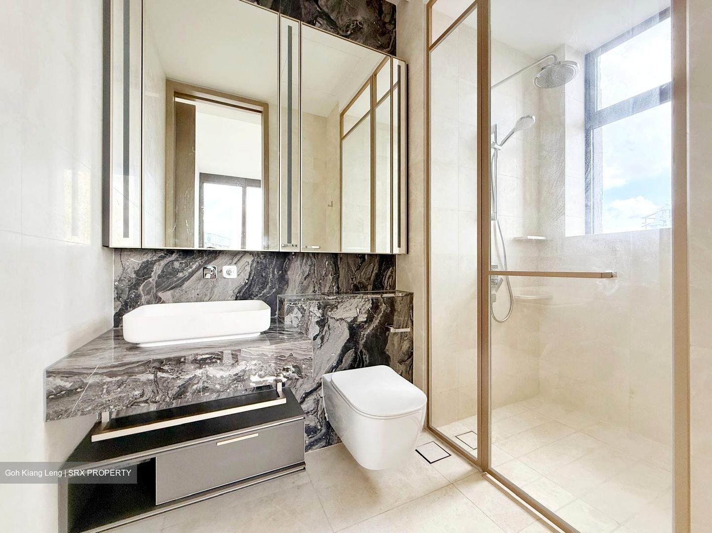 The Avenir (D9), Condominium #548493851